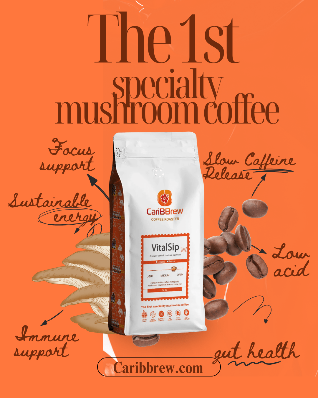 Caribbrew Vitalsip Arabica Coffee With Mushroom 12oz - Caribbrew12oz