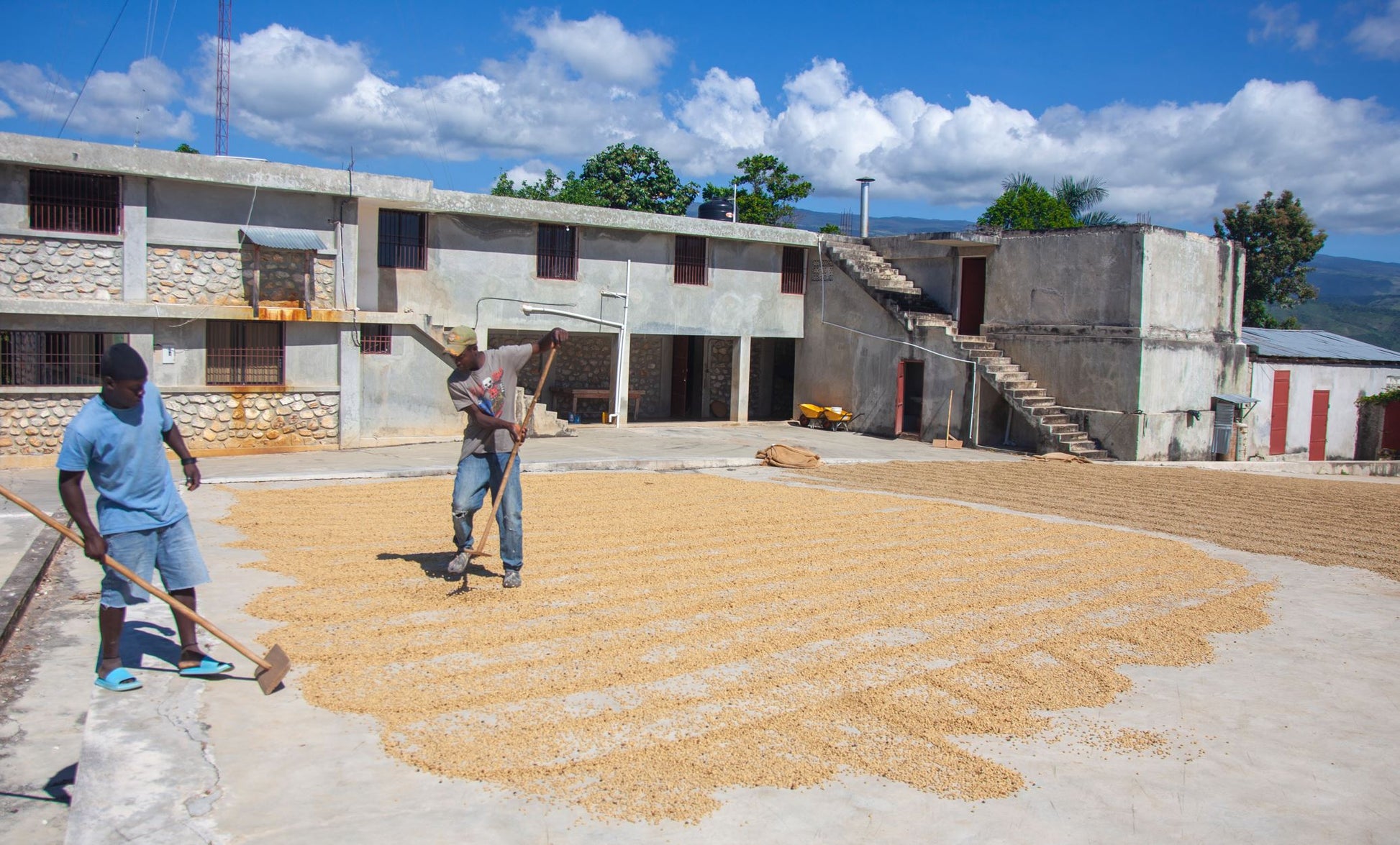 Farmers' Fund - Caribbrew