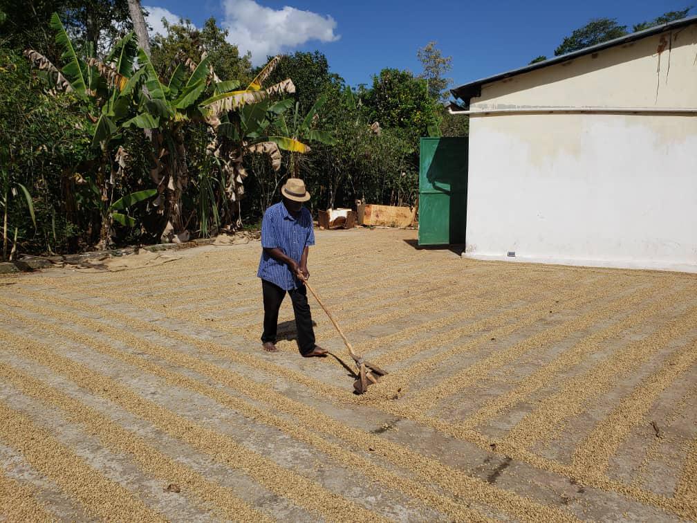 Medium Dark Roast Kcups - Caribbrew