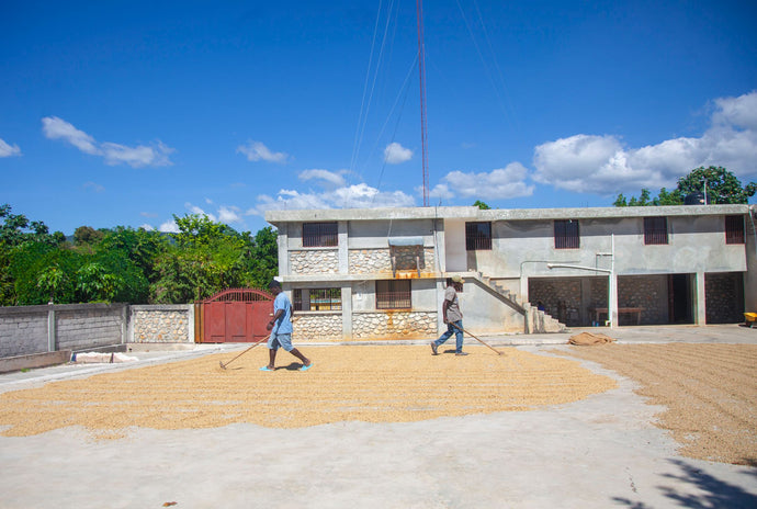 Farmers' Fund - Caribbrew